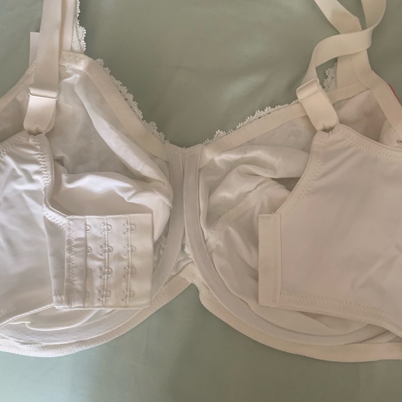 Lilyette Bali Enchantment Minimizer Bra - Picture 5 of 5